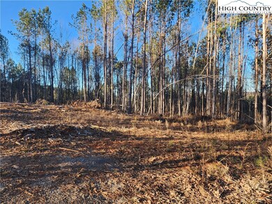 0 Bowles Farm Rd, Statesville, NC 28625 - photo 6