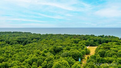 10320 Shannons Way, West Olive-22