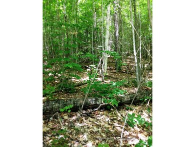 0 Miller Rd, Dalton, NH 03598 - photo 5