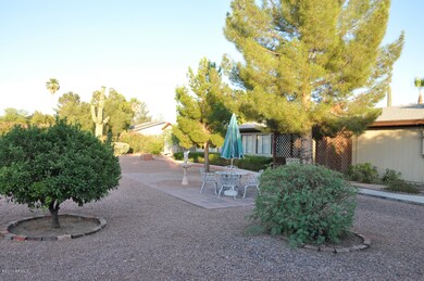Back Yard side view