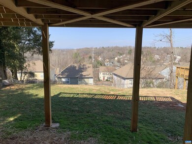 1113 Locust Ave, Charlottesville, VA 22901 - photo 6