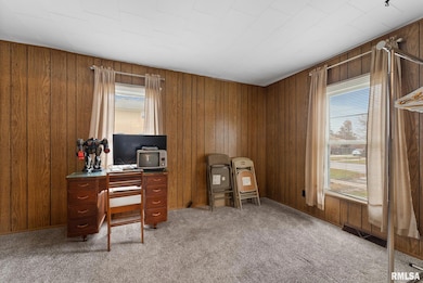 315 W Locust St, Cambridge, IL 61238 - photo 5