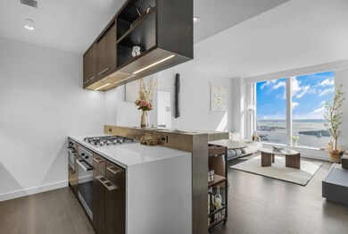 One Manhattan Square unit 73K, New York, NY 10002 - photo 4