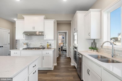 6102 Radford Ave NE, Otsego, MN 55330 - photo 6