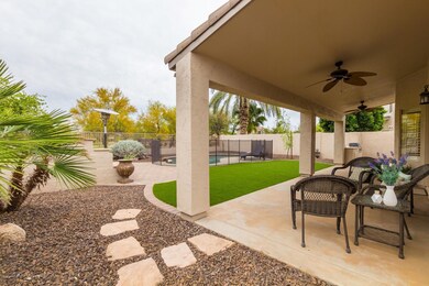 Backyard 1