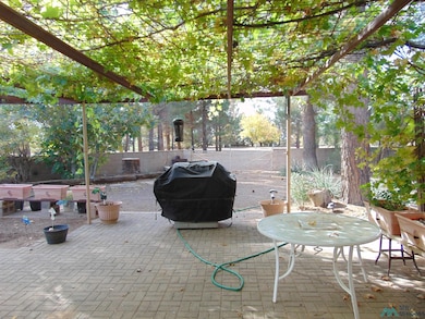 Fenced backyard featuring a patio and a grill