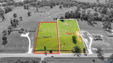 TRACT 8 Fm 3358 unit OAK CREEK HILLS, Gilmer, TX 75645 - photo 4