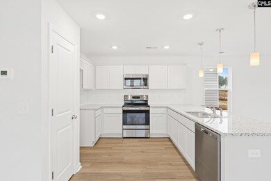 3970 Golden Crane Pass, Lexington, SC 29073 - photo 7