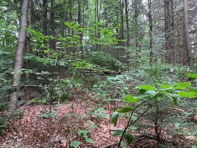 Typical foliage
