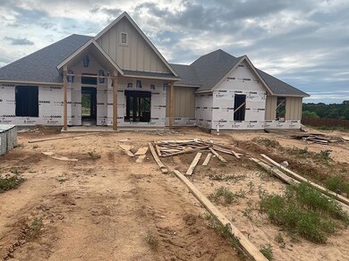 135 Lucky Ridge Ln, Boyd, TX 76023 - photo 2