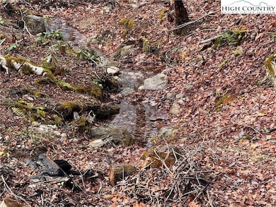 Lots 37 and 38 Snow Ridge Rd, Banner Elk, NC 28604 - photo 3