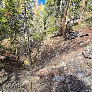 5347 Monitor Lode Claims, Leadville, CO 80461 - photo 6