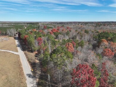 42 County Road 82, Fruithurst, AL 36262 - photo 4