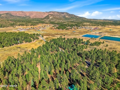 25319 US Hwy 191, Alpine, AZ 85920 - photo 6