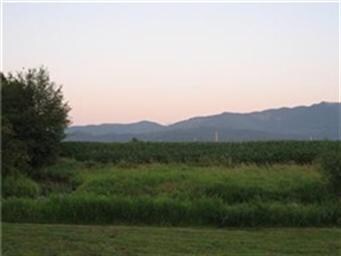 3359 Clearbrook Rd, Sumas, WA 98295 - photo 4