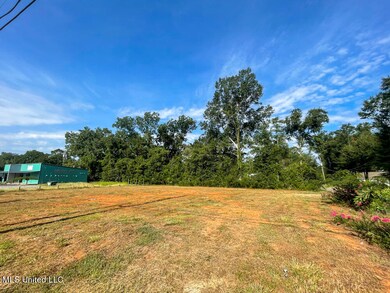 IMG_2545