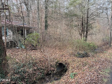 3713 Manville Rd, Gate City, VA 24251 - photo 4