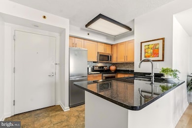 The Chase at Bethesda, Bethesda, MD 20814 - photo 6