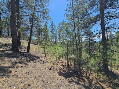 NHN Upper Sawmill Creek Rd, Cascade, MT 59421 - photo 7