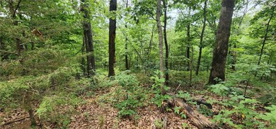 Lots 2 & 3 Foshee Ln, Bella Vista, AR 72715 - photo 6