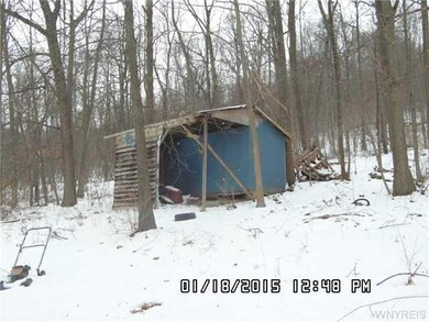 Shed