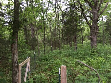 0 Virgil Crowell Rd unit 1726277, Shelbyville, TN 37160 - photo 4