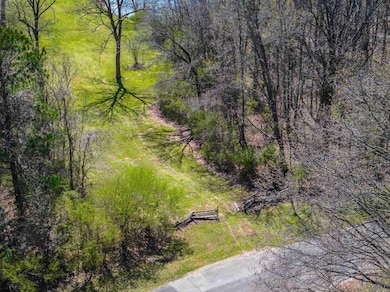 Drone / aerial view with a wooded view