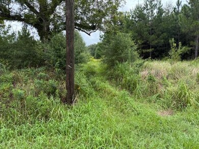 0 Novatan Rd N unit 7621370, Mobile, AL 36608 - photo 2