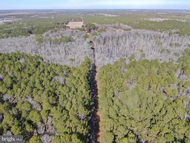 LOT 1 Sand Rd, Snow Hill, MD 21863 - photo 2