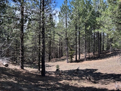 Lot 40 Challis Ln unit 40, Cascade, ID 83611 - photo 7