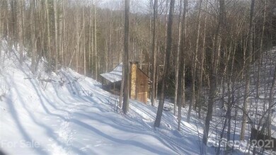 Snow View