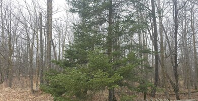 31780 170th St, Isle, MN 56342 - photo 6