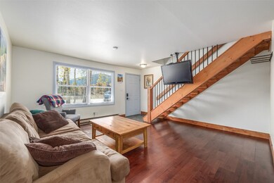 Living room featuring baseboard heating and dark w