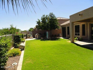 3847 N Paseo Del Sol - Back Yard