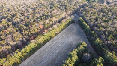 0 New Jersey 347, Dorchester, NJ 08316 - photo 5