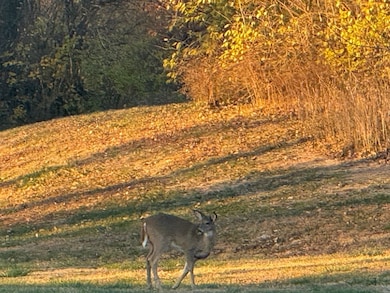 0 E New Bridge Rd, Canton, IL 61520 - photo 6