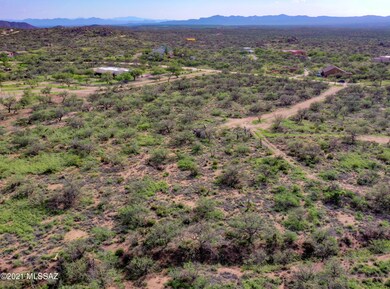 DJI_0560