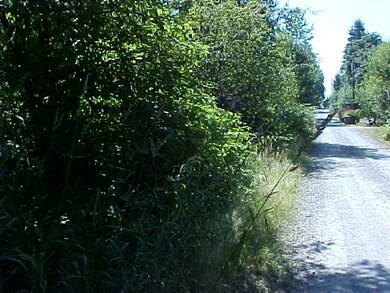 0 214th Rd E unit 667686, Graham, WA 98338 - photo 3