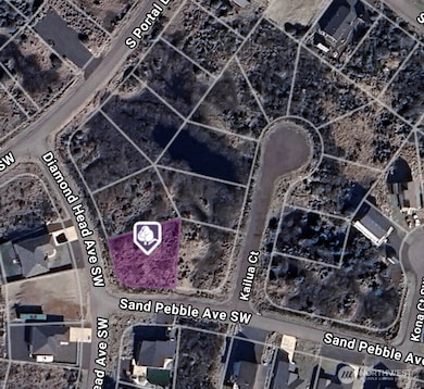 1420 Diamond Head Ave SW, Ocean Shores, WA 98569 - photo 2