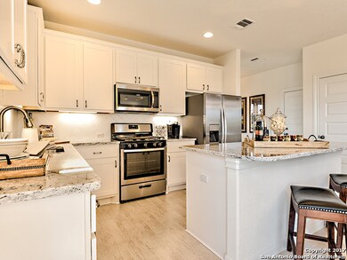 25706 Two Springs, San Antonio, TX 78255 - photo 4