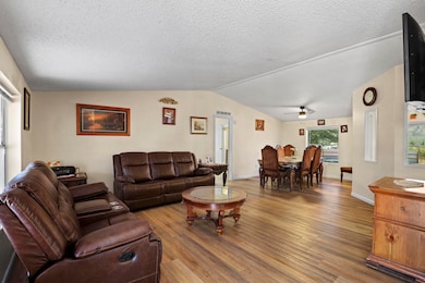 333 S Ewing Trail, Tonto Basin, AZ 85553 - photo 4