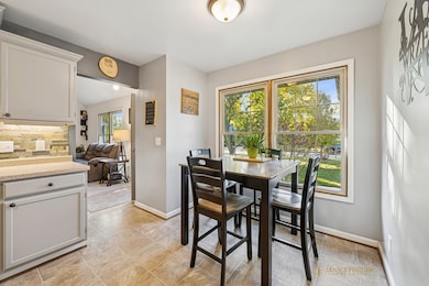 1125 Windslow Cir, Crystal Lake, IL 60014 - photo 5