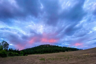 C-LOT 6 U S 395, Chewelah, WA - photo 5