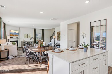 228 Chimney View Loop, Blountville, TN 37617 - photo 4