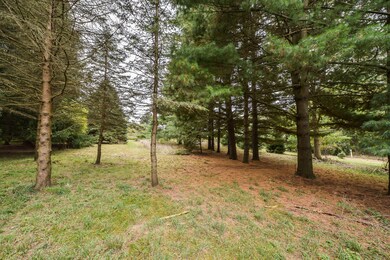 8905 Dexter-Chelsea Rd, Dexter, MI 48130 - photo 5