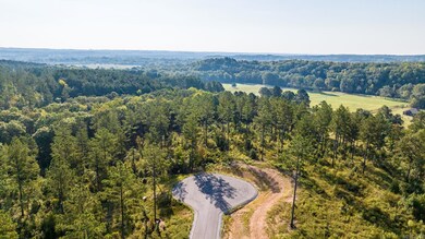 0000 Grandview Dr, Benton, AR 72019 - photo 4