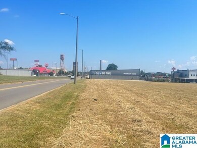 0 Elm St unit m&b 21432126, Oxford, AL 36203 - photo 7