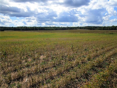 Parcel 1 110th Street St, Frederic, WI 54837 - photo 4