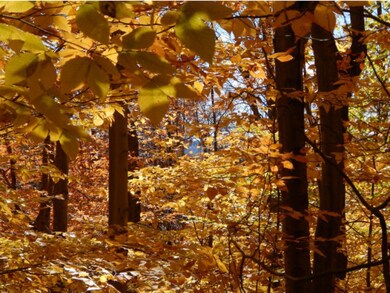 3 Old Post Rd, Newbury, NH 03255 - photo 4