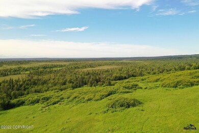 Alaskan Wildwood Ranch(r) P2 (9)